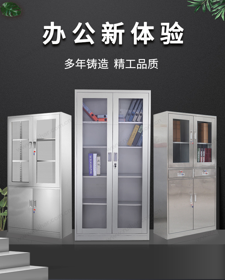 文件柜辦公家具資料檔案柜醫(yī)療器械柜儲(chǔ)物柜304不銹鋼二斗下節(jié)