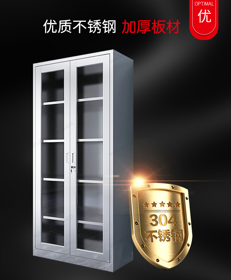 文件柜辦公家具資料檔案柜醫(yī)療器械柜儲(chǔ)物柜304不銹鋼二斗下節(jié)